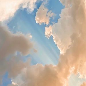 Meet your Posher, Kiara